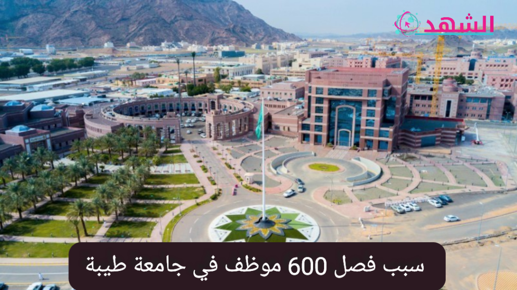 سبب فصل 600 موظف في جامعة طيبة