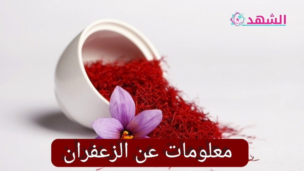 معلومات عن الزعفران