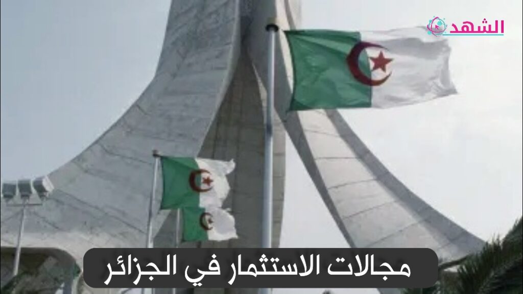 مجالات الاستثمار في الجزائر