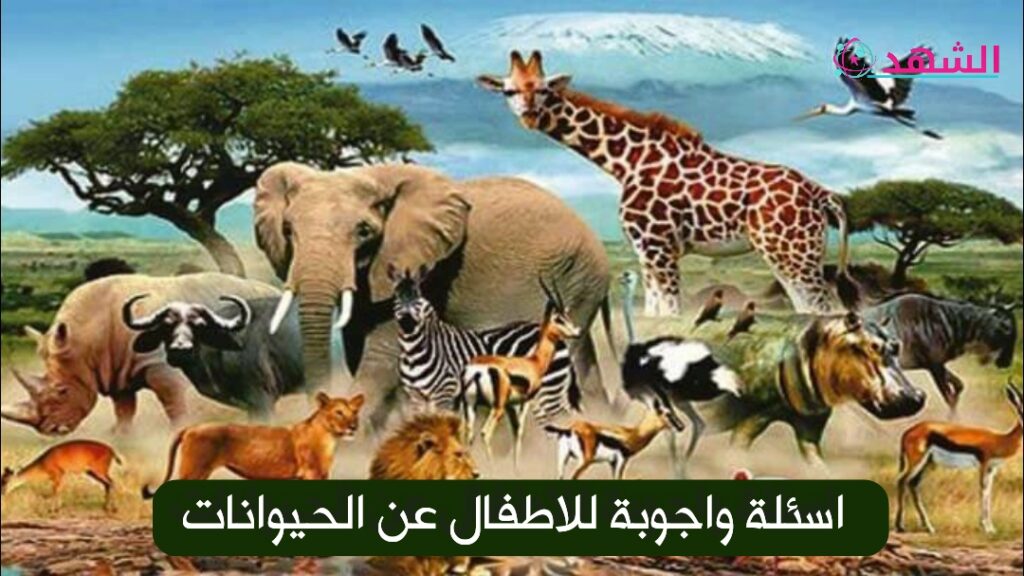 اسئلة واجوبة للاطفال عن الحيوانات